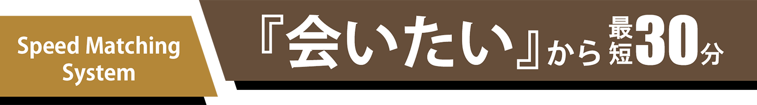 speed matching system/「会いたい」から最短30分
